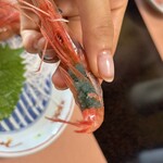 川喜 - たまごがびっしりです