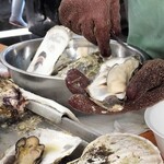 三陸山田 かき小屋 - 