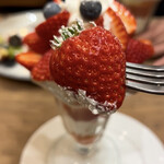 フルーツショップセリーヌ - 