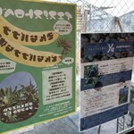 イエス!ストロベリー - 