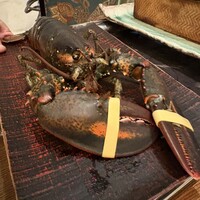 ポンドールイノ - 