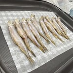 カネダイ大野商店 - 