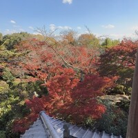 百楽荘 - 日本庭園の景色