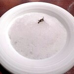 ラ・プリマ・ヴォルタ  - 