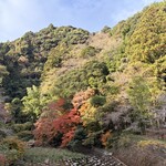 cafe lily - 曲淵ダムパークよ紅葉