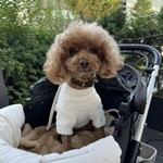 クッチーナ デル カンポ - シェリ