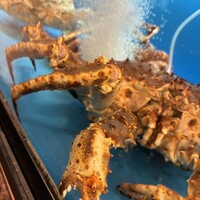 かに道楽 横浜店 - 