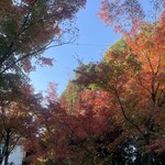 養生館 はるのひかり - 