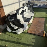 かわばジェラート - 