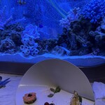上野 アクアリウムレストラン Nautilus - 