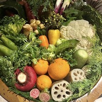 レフェルヴェソンス - 