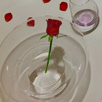 ラール・エ・ラ・マニエール - 