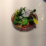 リストランティーノ ルベロ - 