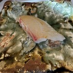 鮨　いの - 今治の鯛