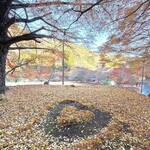 キッチン・ジジ - 