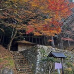 キッチン・ジジ - 