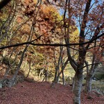 キッチン・ジジ - 