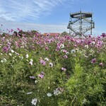 新兵衛 - ソレイユの丘