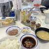 天麩羅処ひらお 本店
