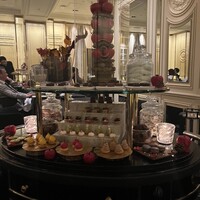 ガストロノミー ジョエル・ロブション - 