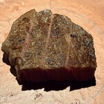 北海道焼肉 北うし - 