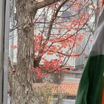 インデアンレストラン  ニューミラ - 