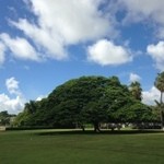 Moanalua Gardens  - 