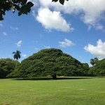 Moanalua Gardens  - 