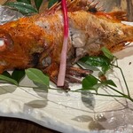 新橋酒場 横綱 - 