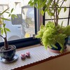 ががちゃ屋 - 料理写真:店内2