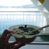 鴨池・垂水フェリー 南海うどん - 