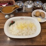 欧風カレーボンディ - 