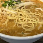 担担麺家 たけうち - 麺アップ