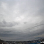 インデアンレストラン  ニューミラ - 