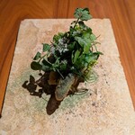 ル スプートニク - ④