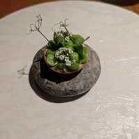 ル スプートニク - ②