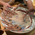 新日本料理おぶね - 