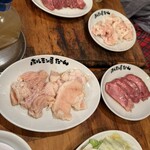 ホルモン屋 だん 新橋総本店 - 