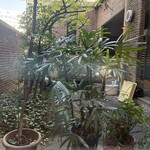 ルーエ ぶらじる - 奥には開放的な窓があり、その奥にはパンを焼く焼き場でしょうか。少し見えます。昔ながらの重厚な作りです。