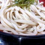 うどんや 藤 - かなりコシが強くて実に武蔵野うどんらしいうどん。