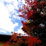 THE SODOH HIGASHIYAMA KYOTO - 庭の紅葉が秋を告げる