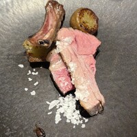 オッジ ダルマット 西麻布店 - 