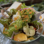 カフェ・フェリーチェ - 