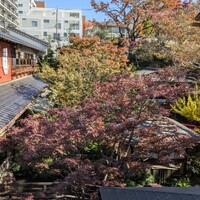 とうふ屋うかい 鷺沼店 - 