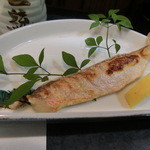 万両 - アマダイ。