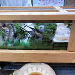 万両 - サヨリの口って何でこんな形なんやろ？？？