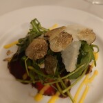 ドンナセルバティカ - 