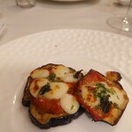 ドンナセルバティカ - 