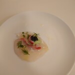 ドンナセルバティカ - 