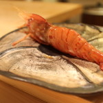 寿しの吉乃 - 三河湾のよしエビのお寿司